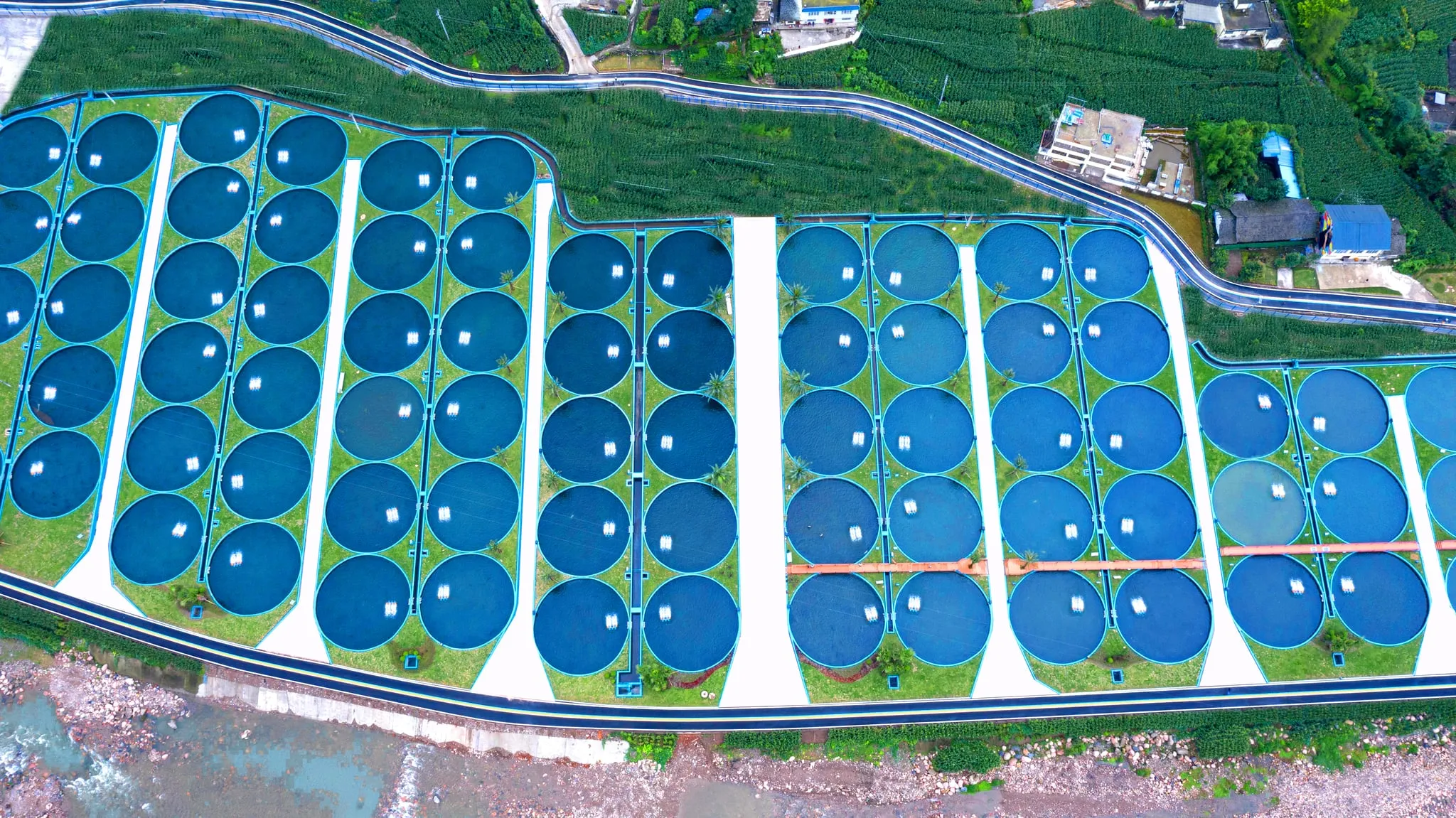 Top-down view of round flow-through sturgeon tanks laid out on the valley floor.