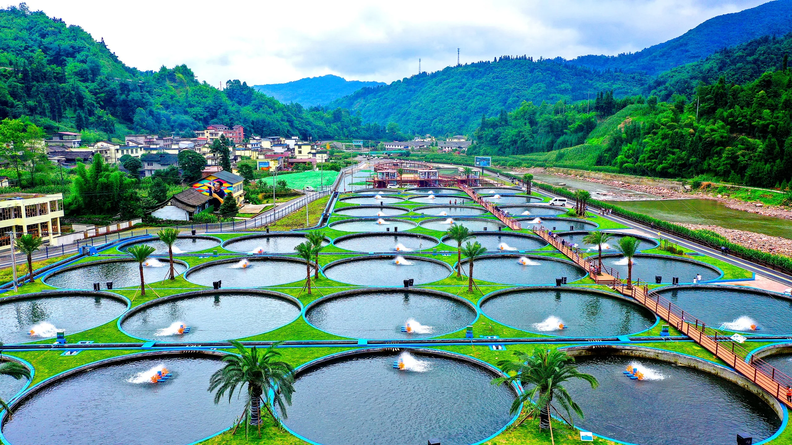 Our partner farm in a Sichuan mountain valley — sturgeon tanks on the valley floor beneath the surrounding peaks.