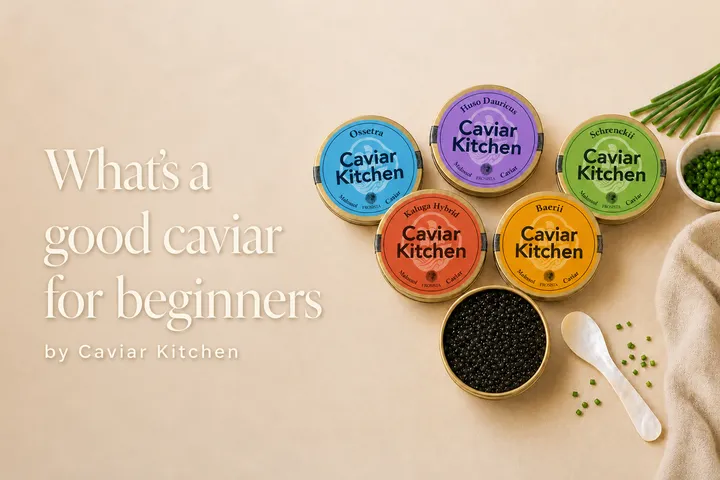 What's a good caviar for beginners? | Caviar Kitchen